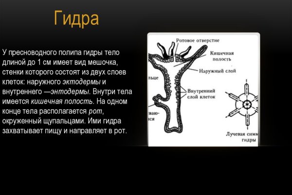 Как найти кракен в торе