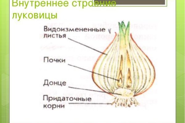 Кракен почему пользователь не найден