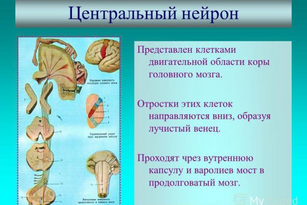 Кракен 2krnk