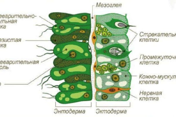 Kraken россия