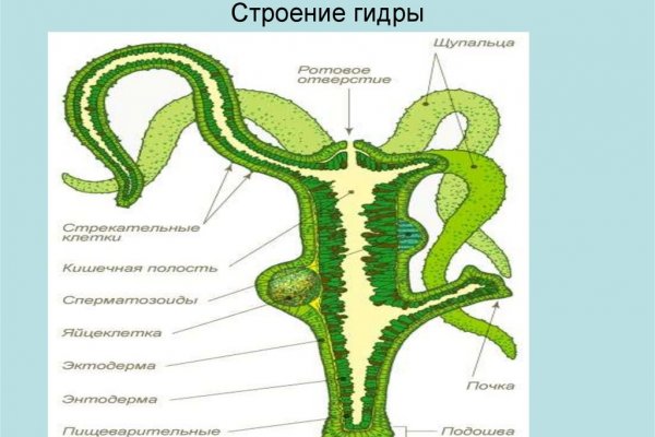 Кракен войти на сайт