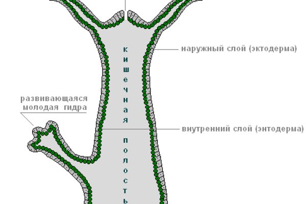 Кракен клир ссылка