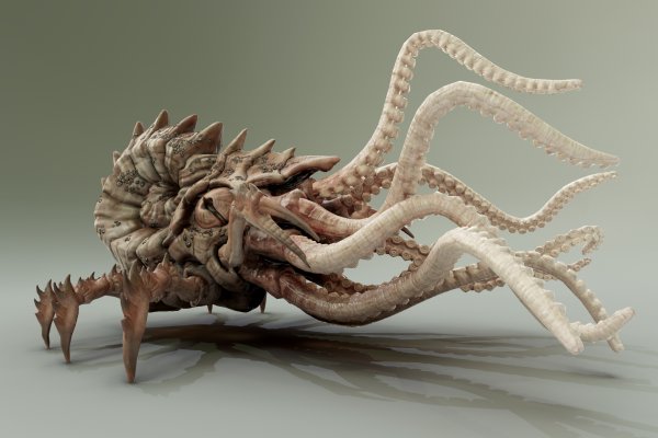 Kraken сайт kraken torion