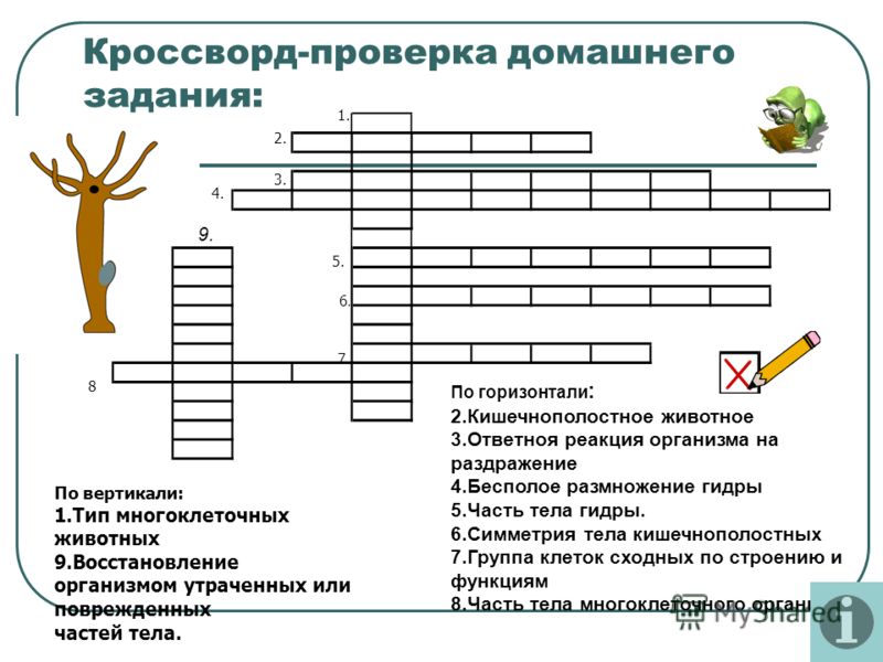 Ошибка на кракене