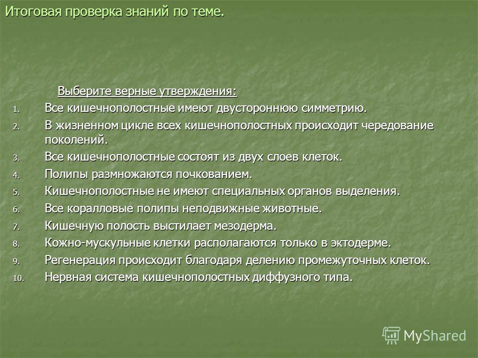 Как зарегистрироваться на кракене